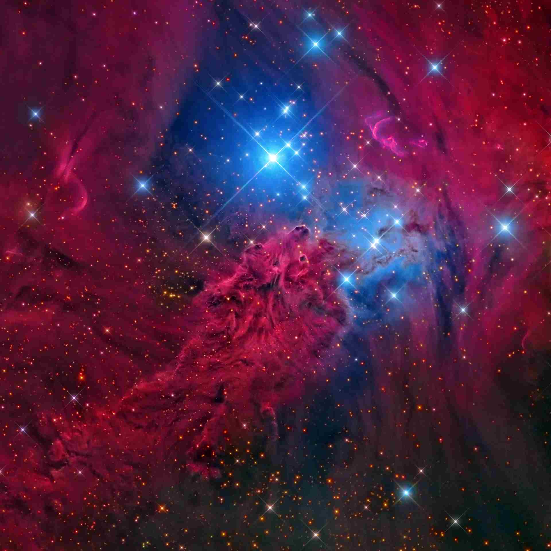 Red Fur Fox Nebula psychelic trance